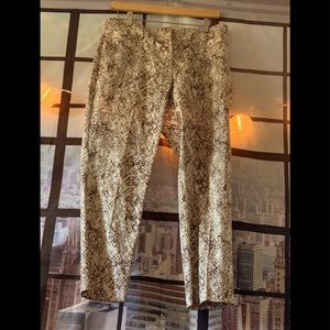 Snake skin pants